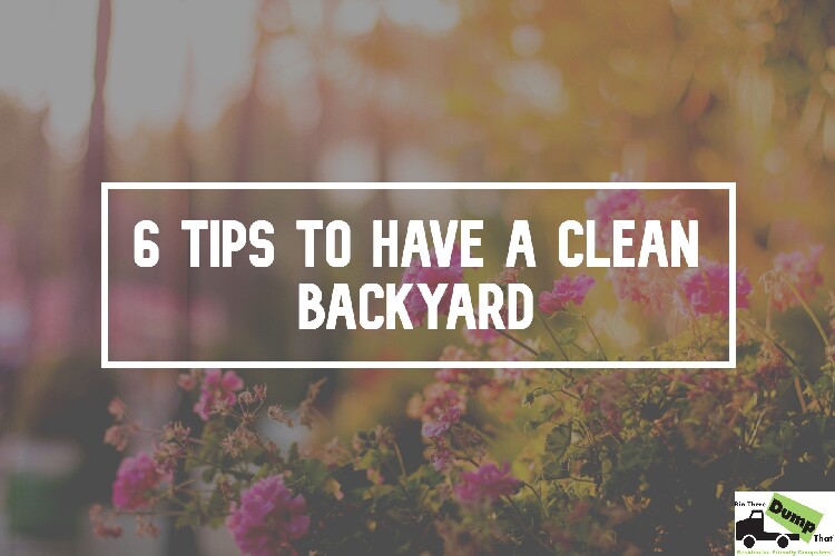 6 Awesome Tips For A Clean Backyard